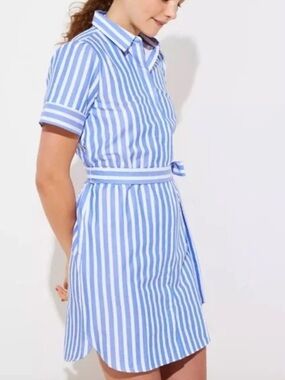 LOFT Blue and White Vertical-Stripe Tie-Waist Shirt Dress